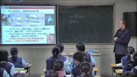 人教版生物八上5.1.7《哺乳动物》课堂视频实录-刘登峰