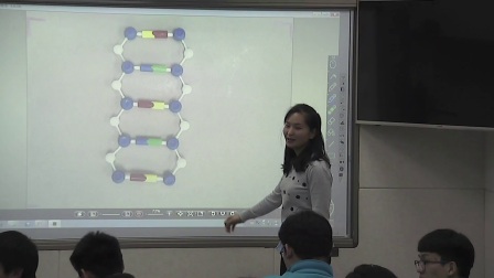 人教版生物高二上学期必修二3.2《DNA分子的结构》视频课堂实录（高静静）