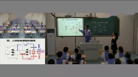 人教2011课标版生物七下-4.4.2《血流的管道-血管》教学视频实录-张丽