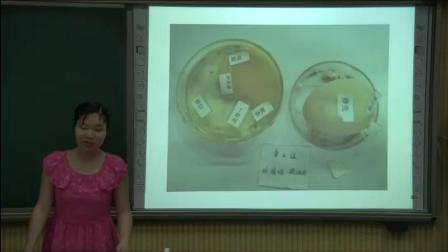 人教2011课标版生物八下-7.1.4《鸟的生殖和发育》课堂教学视频-刘宇