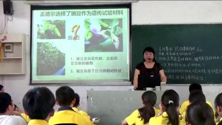 人教2011课标版生物八下-7.2.3《基因的显性和隐性》课堂教学视频-刘益琳