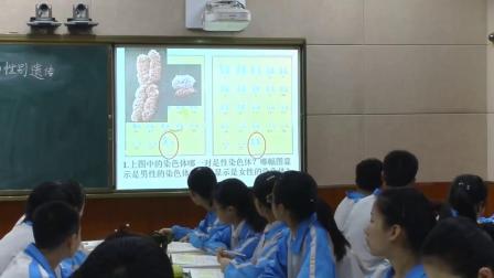 人教2011课标版生物八下-7.2.4《人的性别遗传》课堂教学视频-刘英芳