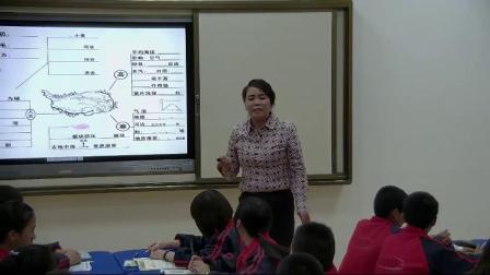人教版初中地理八下-5《中国的地理差异》课堂视频实录-李桂珍