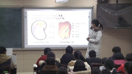 人教版生物七下3.1.2《种子植物》课堂视频实录-王艳利