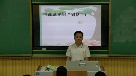 苏教版语文七下4.15《松鼠》课堂教学视频(1)