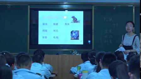 苏教版语文七下4.15《松鼠》课堂教学视频-蚌埠市优课