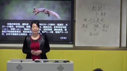 苏教版语文七下4.15《松鼠》课堂教学视频-张桂霞