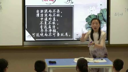苏教版语文七下-5《专题：荷--《爱莲说》》课堂教学视频-刘娜