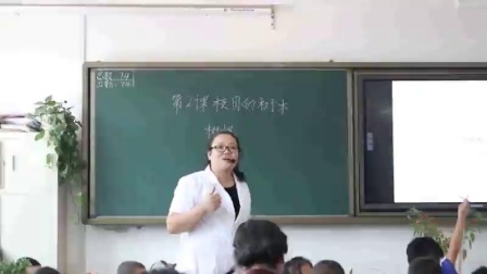 《校园的树木》教科版小学科学三上-吉林-吕艳春