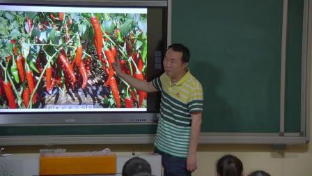 人教2011课标版生物 七上 第三单元第一章第二节《种子植物》课堂教学视频-陈军