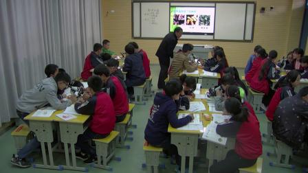 人教2011课标版生物 八上 第五单元第四章第二节《细菌》课堂教学视频-韩建军
