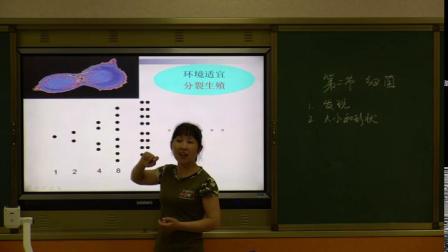 人教2011课标版生物 八上 第五单元第四章第二节《细菌》课堂教学视频-韩美林