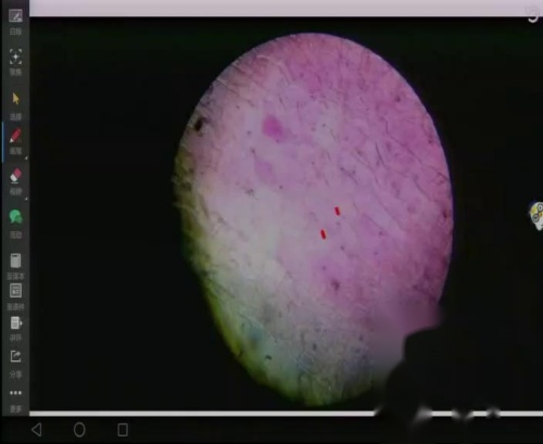 人教版生物高一上必修一4.1《探究植物细胞的吸水和失水》课堂教学视频实录-王艳霞