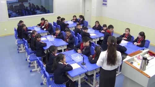 大象版科学四上3.1《乒乓球复原了》2022课堂教学视频实录-任凯悦