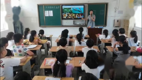 《我要的是葫芦》部编版小学语文二年级上册课堂教学视频-执教老师-谢芳成