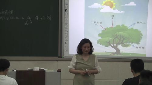 人教版地理高一上《大气的组成和垂直分层》优质课视频实录-执教：陈玲玲老师