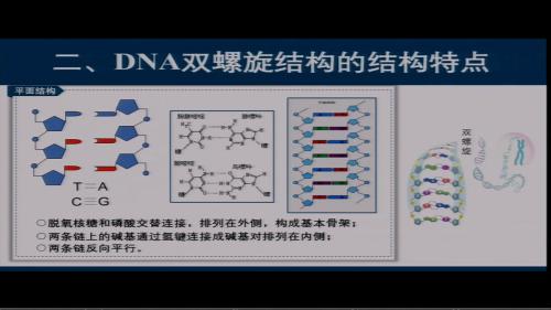 人教版生物高一下《DNA分子的结构》2022课堂教学视频实录-张亮