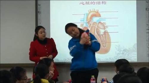 北师大版生物七下9.2.2《心脏是血液流动的动力器官》课堂教学视频实录-李宇征