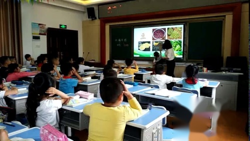 10《端午粽》部编版语文一年级下册课堂教学视频实录-冯波