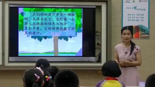 《枫树上的喜鹊》部编版语文二年级下册课堂教学视频实录-执教老师-黎春兰