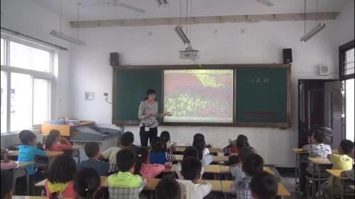 《花钟》部编版语文三年级下册课堂教学视频实录-执教老师-王薇