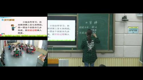 《蜜蜂》部编版语文三年级下册课堂教学视频实录-执教老师-马庆