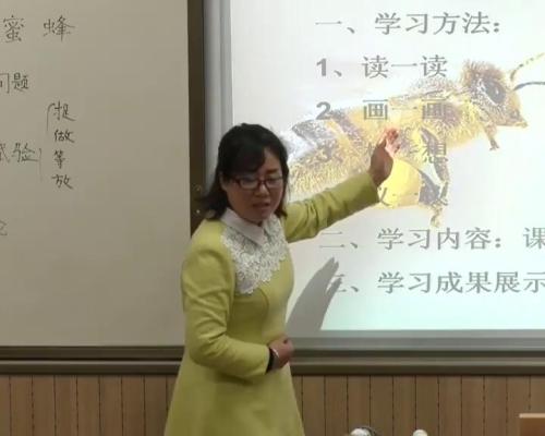 《蜜蜂》部编版语文三年级下册课堂教学视频实录-执教老师-李晓华