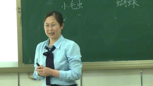 《 小毛虫》部编版语文二年级下册课堂教学视频实录-执教老师-张建梅