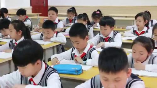 《枣核》部编版语文三年级下册课堂教学视频实录-执教老师-陈蕾