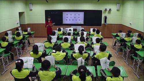 《棉花姑娘》部编版语文一下课堂教学视频实录-执教老师-王丽君