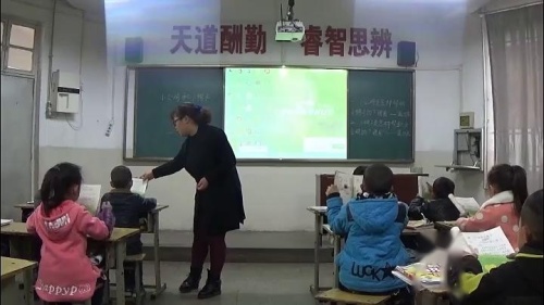 《小公鸡和小鸭子》部编版语文一下课堂教学视频实录-执教老师-杨老师