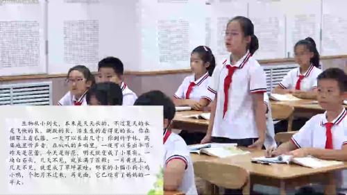 《夏天里的成长》部编版小学语文六年级上册课堂教学视频-执教老师：张赫