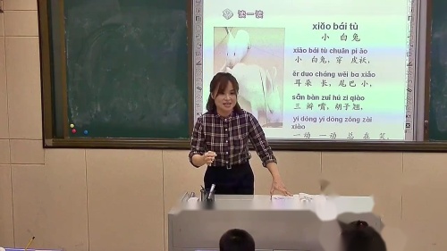 《ai ei ui》部编版小学语文一年级上册课堂教学实录视频-执教：章玲慧