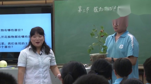 《2 2 3 植物体的结构层次》人教版生物七年级上册优质课视频-陕西