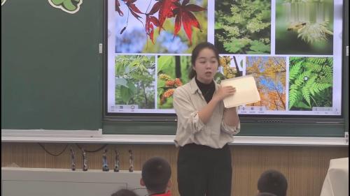 《留住秋天-寻找秋天的痕迹》小学美术三年级上册优质课视频