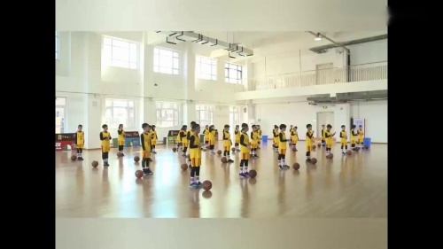 《小篮球原地运球》参赛课教学视频-三年级体育