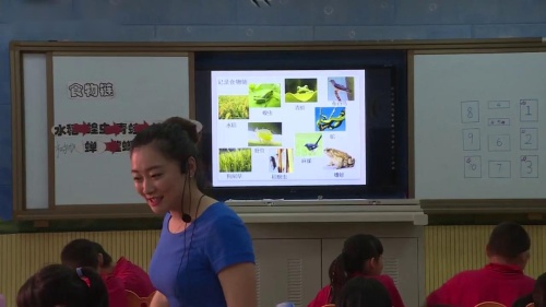 《食物链和食物网》教科版科学五年级上册优质课教学视频