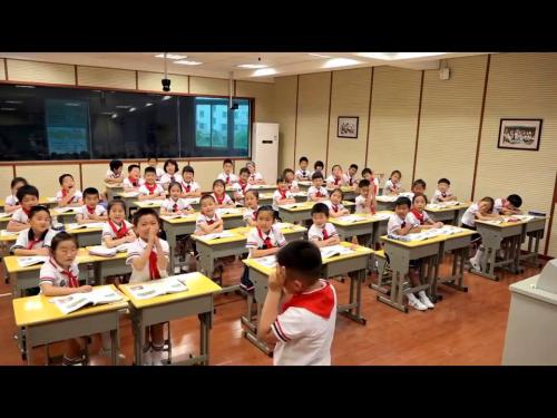 《咕咚》部编版小学语文一年级下册优质课视频-执教老师：王波