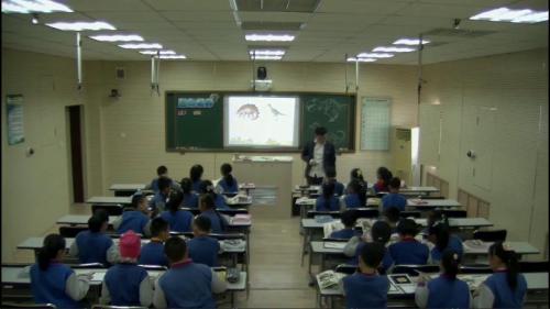 《恐龙世界》人美版小学美术三年级下册优质课视频-执教：高老师K