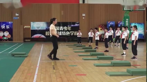 《多种跳跃方式》新课标体育示范课视频