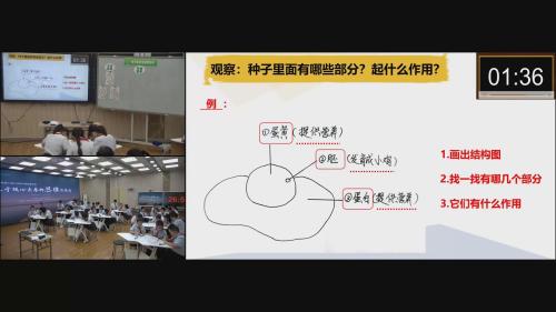 《种子里孕育着新生命》公开课比赛视频-教科版四年级下册-重庆市小学科学优质课比赛-执教：沈老师
