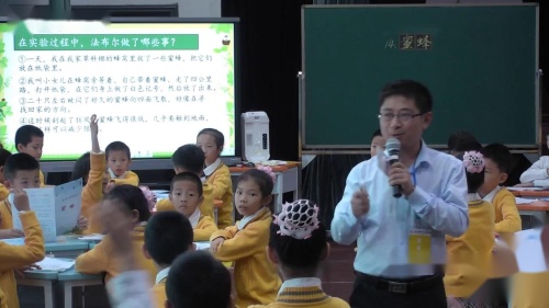 《蜜蜂》部编版语文三年级下册公开课视频-执教老师：王松林