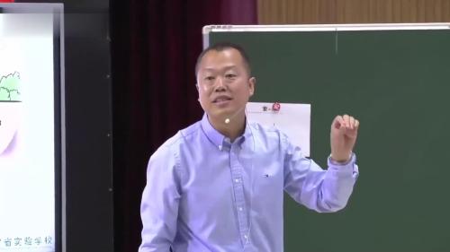 《数图形的学问》人教版四上数学-新课标研讨课视频-执教老师：王洪涌