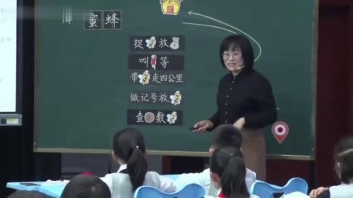 《蜜蜂》部编版语文三下-江苏省第23届青年教师小学语文课堂教学观摩暨优课评选 陈凤