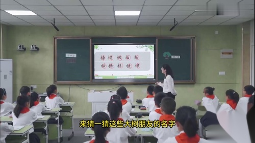 二年级语文上册《树之歌》部编版公开课优质课视频-新课标