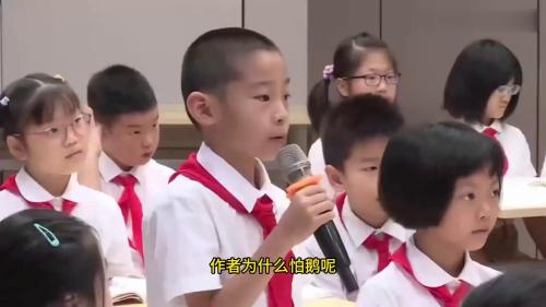 四年级上册《牛和鹅》2024公开课优质课-新课标-部编版语文