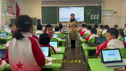 《金色的草地》部编版公开课优质课教学视频-三年级上册语文