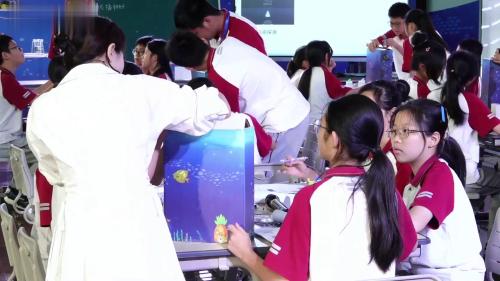 声音的利用 - 优质课公开课视频专辑