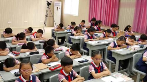 《搭石》部编版五年级上册语文公开课优质课-新课标