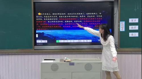 四年级上册语文《繁星》部编版公开课优质课教学视频试讲-新课标